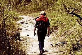 Este caminho vai prá lá?