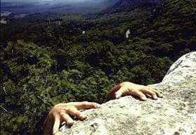 Procura-se jovem com medo de morrer